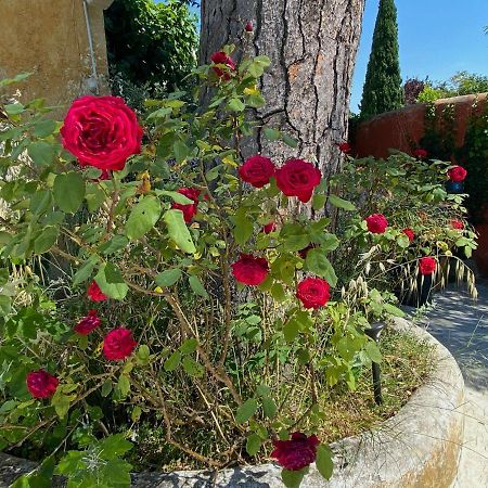Le Clos De L'Isle Arles Exteriör bild