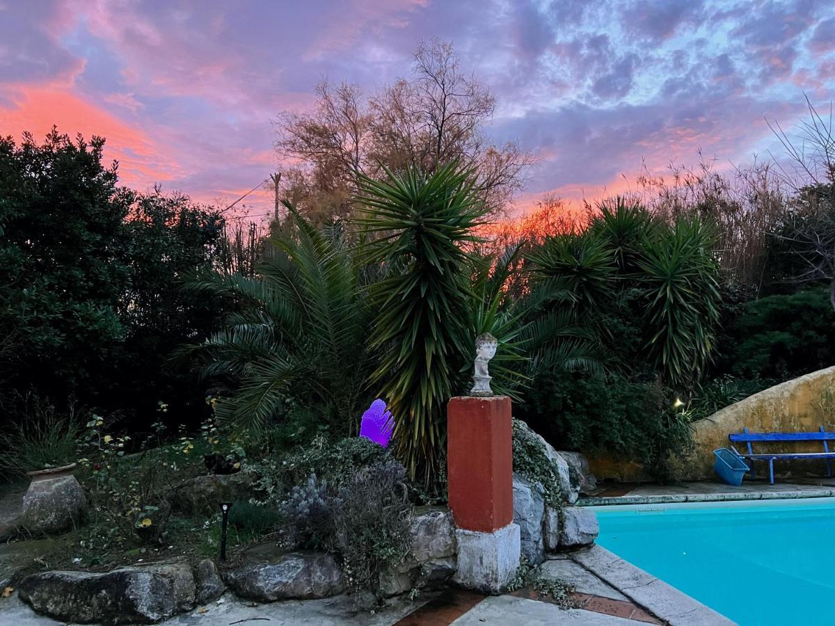 Le Clos De L'Isle Arles Exteriör bild