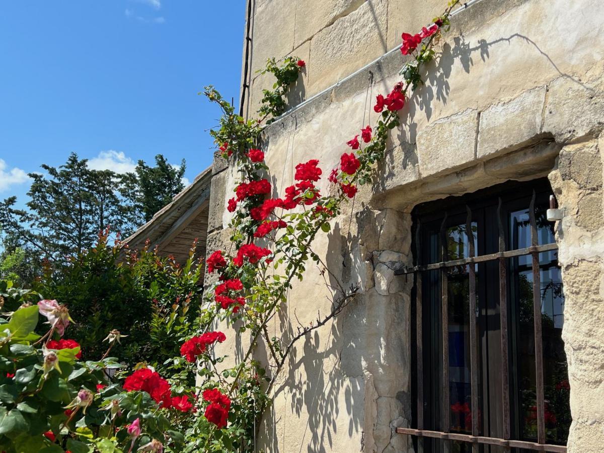 Le Clos De L'Isle Arles Exteriör bild